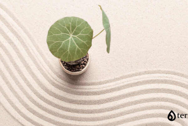 code-massage-tables-blog-AKT-group-in-termalia-romania